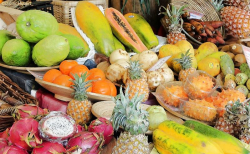 Obst liefert Vitamine und Mineralstoffe